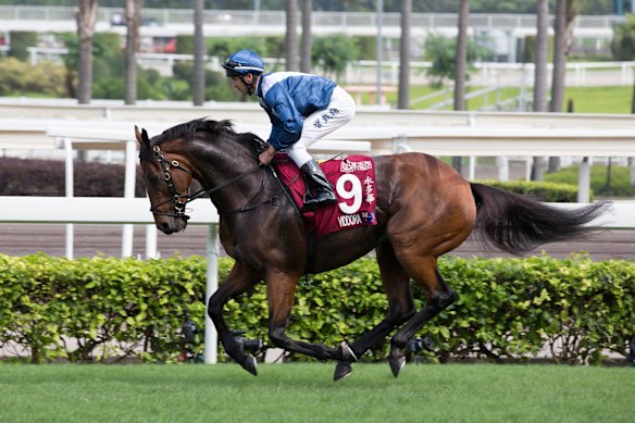 Viddora, in foal, attracts $2.55 million in sale to Yulong