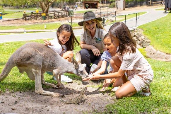 Currumbin Wildlife Sanctuary has significantly expanded since its early days as a bird sanctuary.