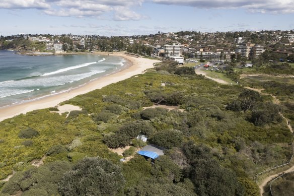 The campsite, seen towards the bottom of the above drone-captured overhead photograph, is between Dee Why Lagoon and the beach. 