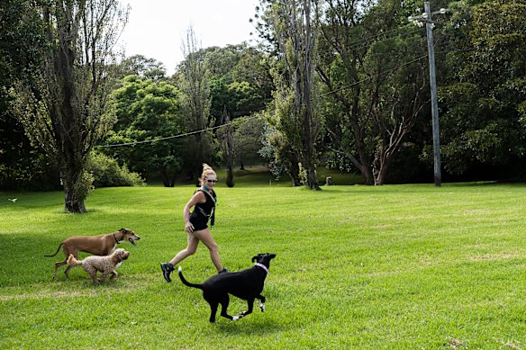 Waverley Council has argued pet penalties may be too low to provide strong deterrence.