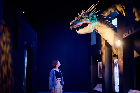 Meet fantastic beasts created by 'painting' with light