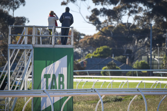 Gai Waterhouse has been keeping an eye on her Cup import Sir Lucan most mornings at Werribee.
