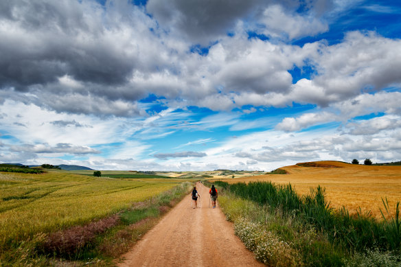 One step at a time … passing a wheat field outside VillaTuerta, Navarra, Spain.