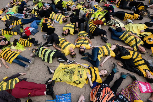 Activists from Extinction Rebellion dressed as bees participate in a die-in protest in Sydney.