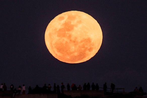 A “super blue moon” rises over Bo<em></em>ndi Beach in August.