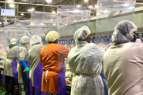 Tyson Foods workers wear protective masks and stand between plastic dividers at the company's poultry processing plant in Camilla, Georgia.