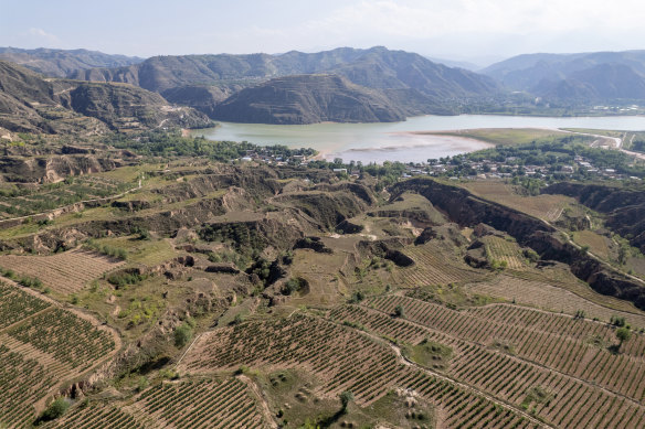 The Baojialong Vineyard overlooks the Yellow River. 