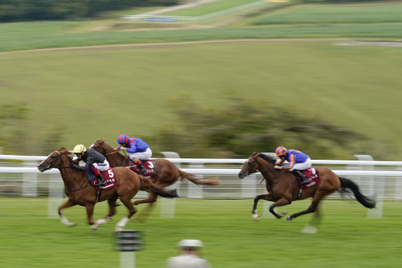 Frankie Dettori and Stradivarius lead the field en route to a fourth Goodwood Cup triumph.