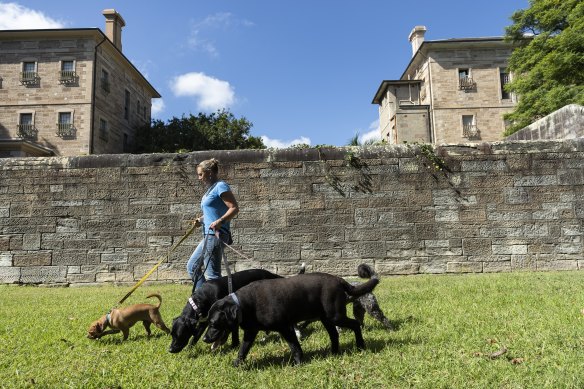 The park is popular with residents and professional dog walkers.