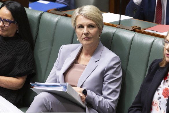 Environment and Water Minister Tanya Plibersek during question time.