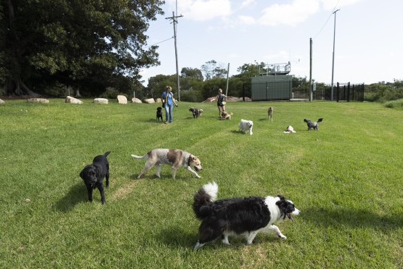 Labor has promised $200,000 towards upgrading two dog parks while the Coalition is promising $320,000 to a single park.