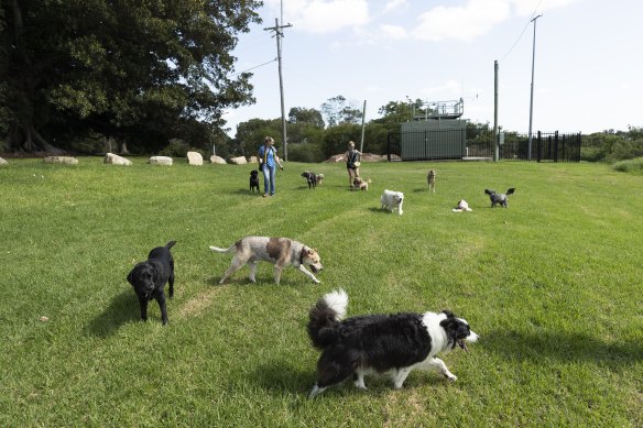 Despite a desperate need for affordable housing along with spaces for refugees and creatives, Callan Park is just a place for Radio National listeners to walk their dogs.