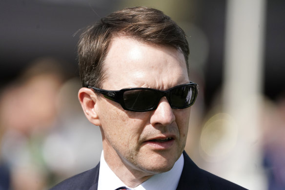 Aidan O'Brien has Anthony Van Dyck and Tiger Moth in this year's Melbourne Cup.