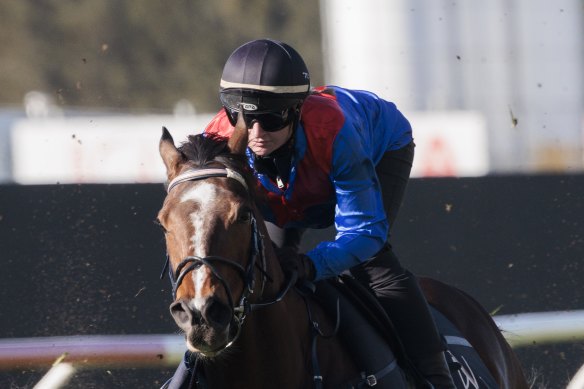 Jamie Kah rides Zaaki in a gallop at Rosehill last week in the lead-up to her return to racing.