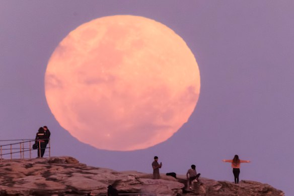 The “super blue moon” rises over Bondi Beach.  The rare phenomenon occurs when a super moon, which occurs when the moon appears larger than usual, and a blue moon, or the second full moon in a month occur together.