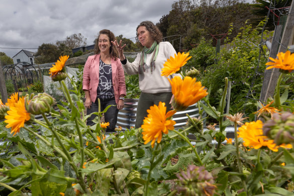 Surf Coast Shire mayor Liz Pattison and Anglesea ward councillor Libby Stapleton at the Aireys Inlet site.