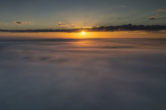 Sydney is set to have an unexpectedly warm week during lockdowm. 