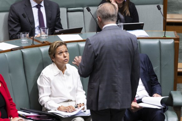 Communications Minister Michelle Rowland and Prime Minister Anthony Albanese during question time this month.