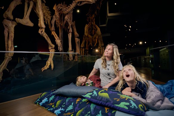 A night at the museum: Melbourne Museum sleepover.