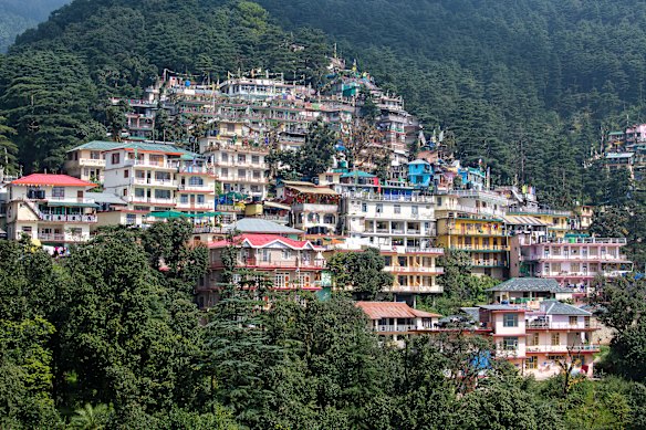 Houses perched on  pine-forested  Himalayan hillside in Dharamshala, India. 
