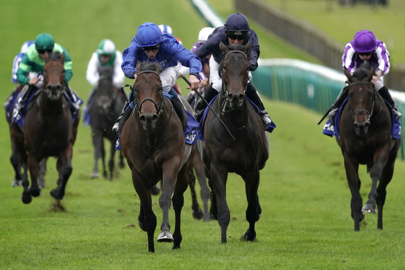 Pinatubo (in royal blue) wins the Dewhurst Stakes at Newmarket on Saturday.