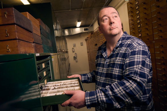 Simon Hinkley, collection manager, terrestrial invertebrates at Museums Victoria, prepares for the <i>Antopia</i> exhibition.