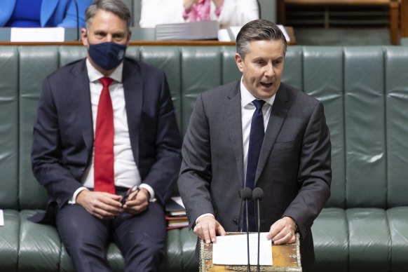 Health Minister Mark Butler during question time.