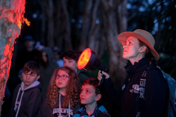 Spotlight Prowl for Families