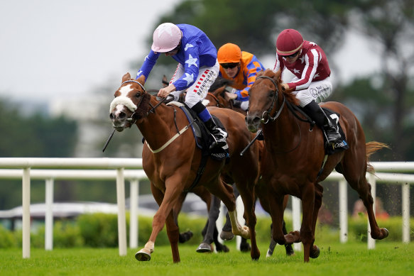 Captain Maverick punches through on the inside to win at Galway last year.