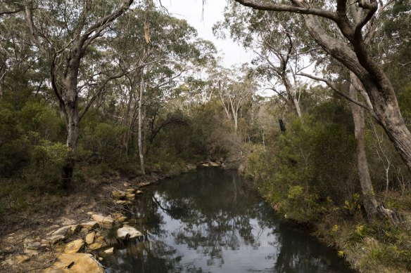 A review into the state’s biodiversity conservation act found it was failing to help maintain a healthy environment.