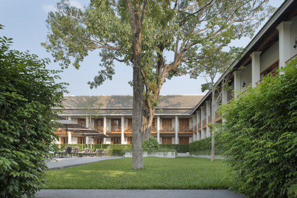 The banyan tree looms over the hotel.