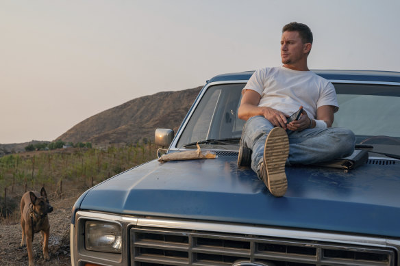 Channing Tatum plays a former US Army Ranger who agrees to escort  a Belgian Shepherd named Lulu to a funeral in Dog.