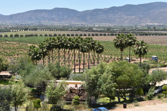Valle de Guadalupe, where 90 per cent of Mexico’s wine is produced today.