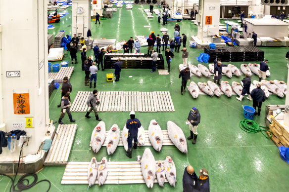 No tourists allowed: Tokyo’s Toyosu Market is for hospitality workers.