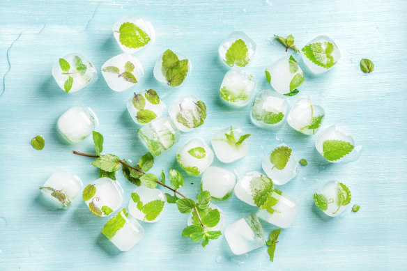 Freezing herbs is a great way to avoid waste.