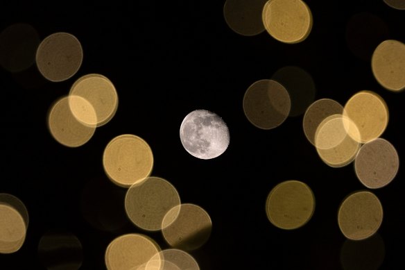 A waning gibbous moon shares the sky behind trees illuminated for the Christmas season in downtown Oconomowoc, Wisconsin, USA.
