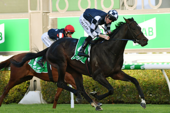 Russian Camelot showed his quality and Melbourne Cup potential with victory in the South Australian Derby on Saturday. 