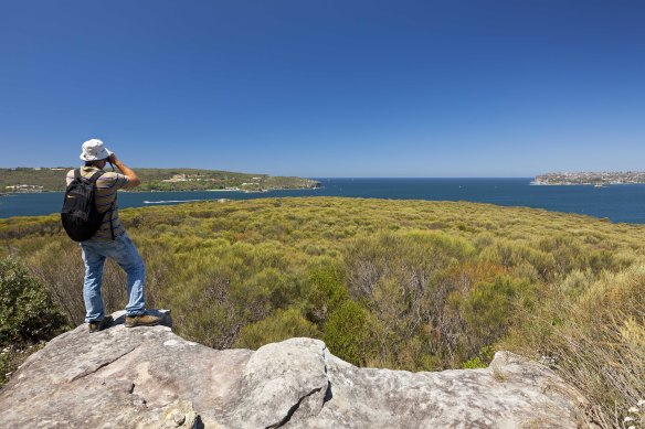 Walking trails with epic views at Sydney Harbour National Park.