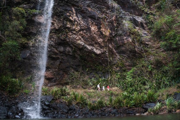 Chasing waterfalls: Twin Falls at Springbrook National Park.
