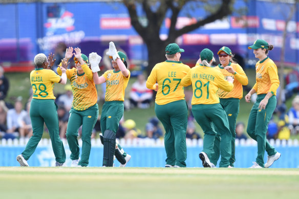 South African players celebrate the dismissal of Alyssa Healy.