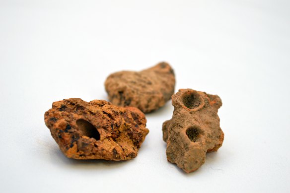 Clay balls found nearby, with holes where seeds had been pushed in to roast in an oven. 