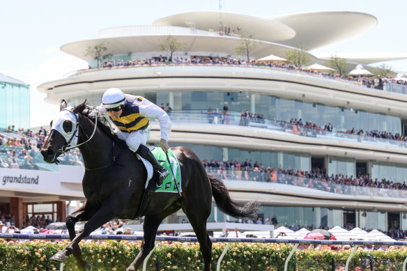 The VRC opened its new grandstand shortly before Covid-19 wiped out crowds.