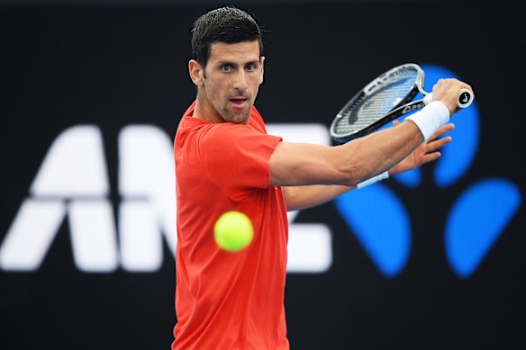 Djokovic is a master of the hardcourts.