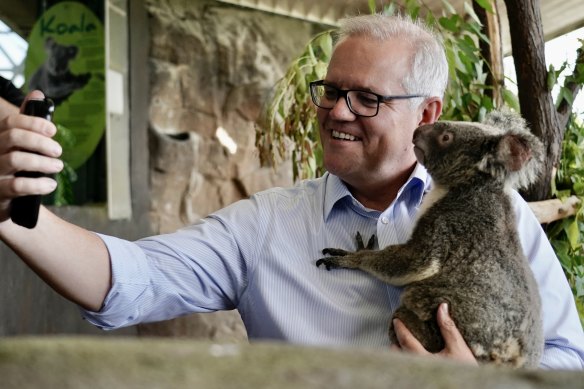 Scott Morrison pressing the flesh in Cairns last week.