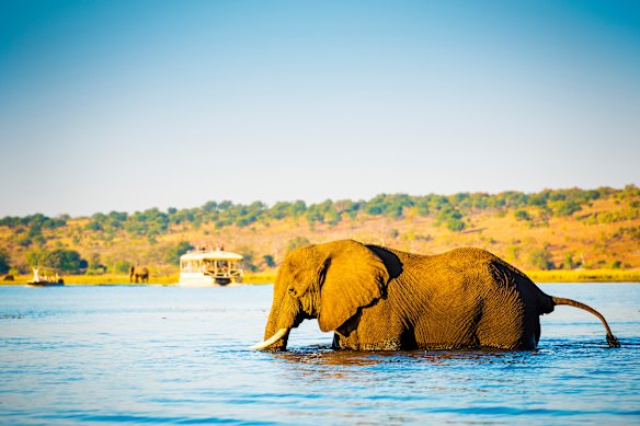 Tourism, focused on luxury safaris in the country’s Okavango Delta wetlands and a wilderness that boasts the world’s largest elephant population, is the second-biggest contributor to the country’s economy after diamonds.