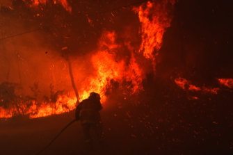 “All indications are it’s going to be a bad year," says Dr Thornton.