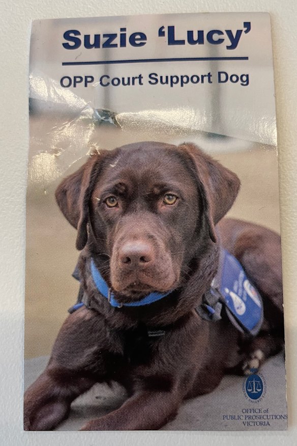 Lucy’s business card, complete with teeth marks.