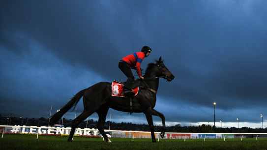 Verry Elleegant gets the chance to bounce back in Saturday’s Cox Plate after disappointing at her last start.