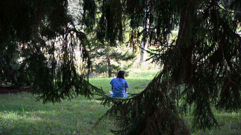 I did what the doctor ordered. I introduced myself to a mushroom