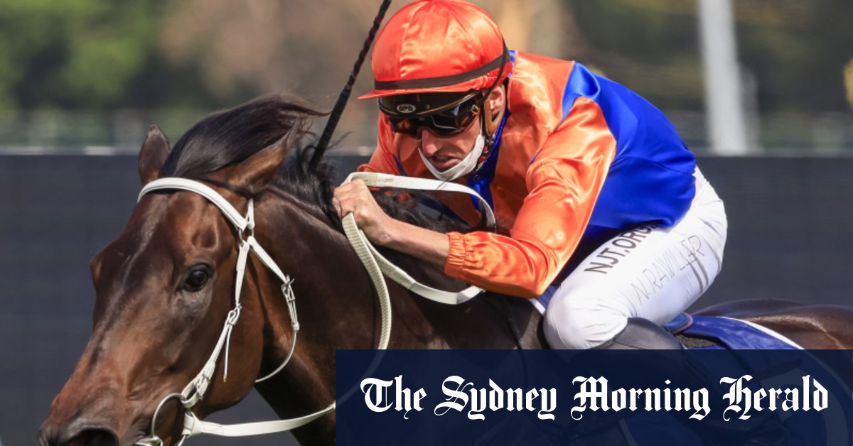 Race-by-race preview and tips for Randwick on Saturday